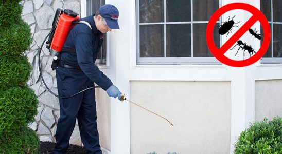 Tut Bit İlaçlama böcek ilaçlama ve haşere kontrolü — ilaclama-tr.com